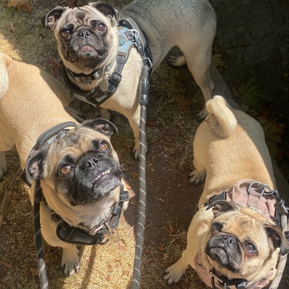 Closet is closed 🔥💔 Please read caption - Picture 6 of 10